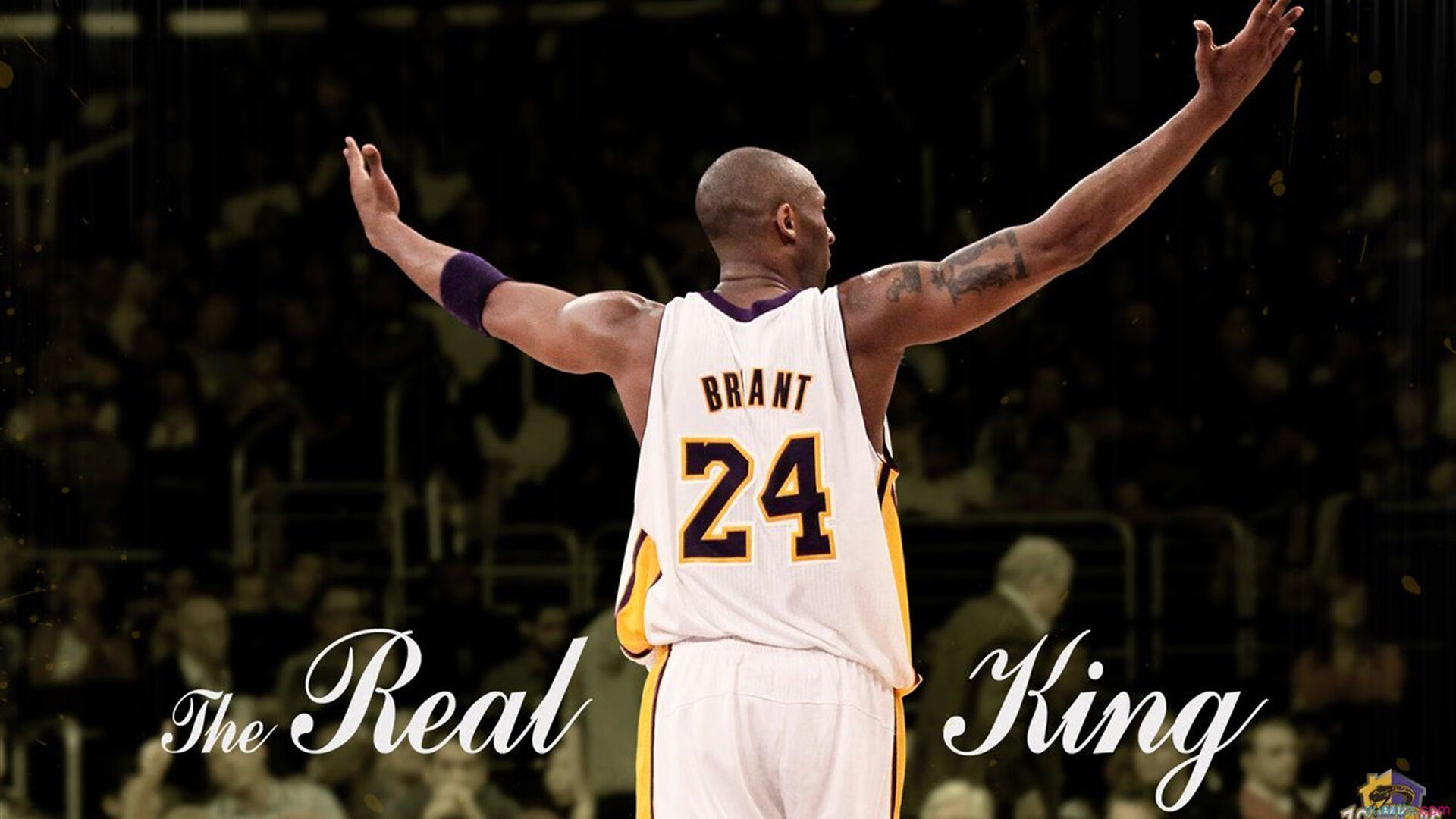 范弗利特爆发撕裂防线，辽宁队战术打穿步行者体系